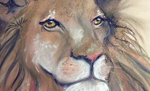 Cartes postales Animaux - Série 1